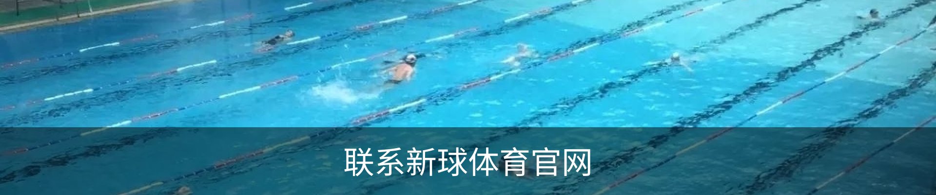 联系新球体育官网